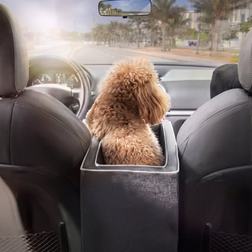Petit chien assis dans le nid Petit Copilote, sur l'accoudoir central de la voiture, regardant la route